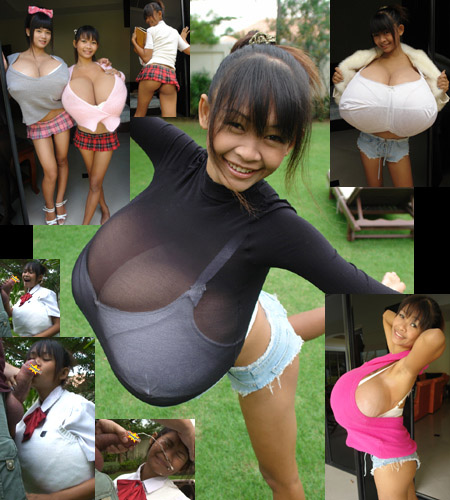 farangdingdong.com New Girls Preview